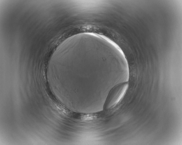 X0000065260754200603172230