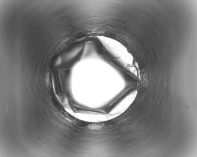 X0000065260756200603172230