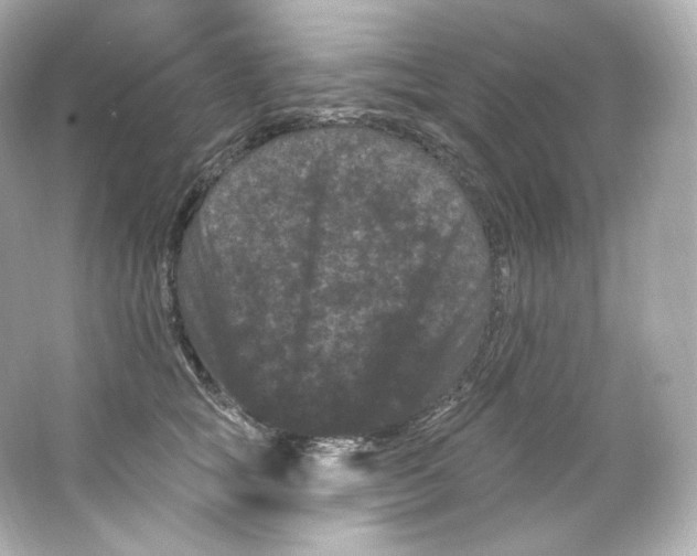 X0000065260757200603172230