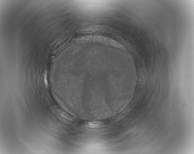 X0000065260758200603172230