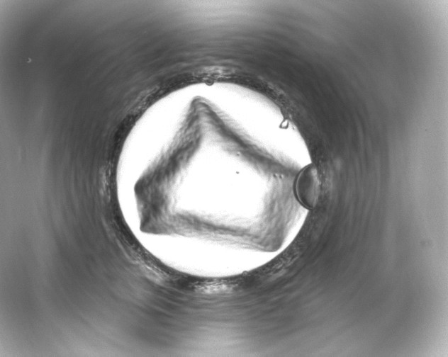 X0000065260759200603172230