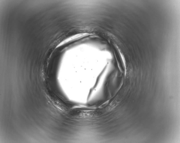 X0000065260764200603172230