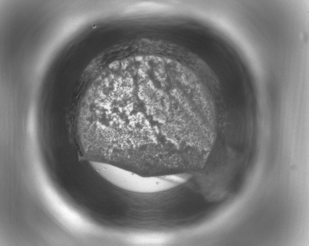 X0000065260765200603172230