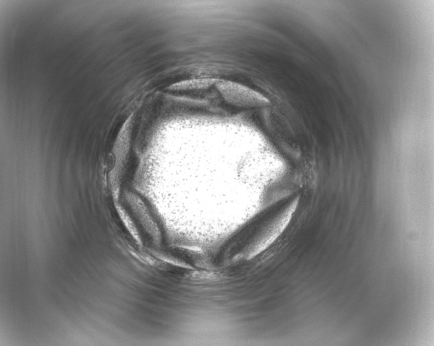 X0000065260766200603172230