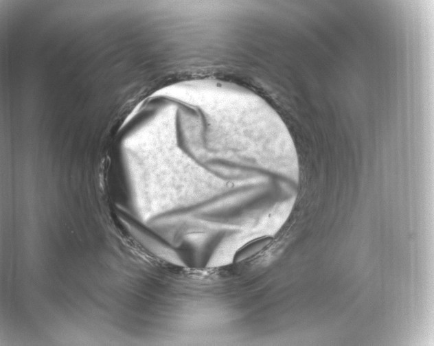 X0000065260768200603172230