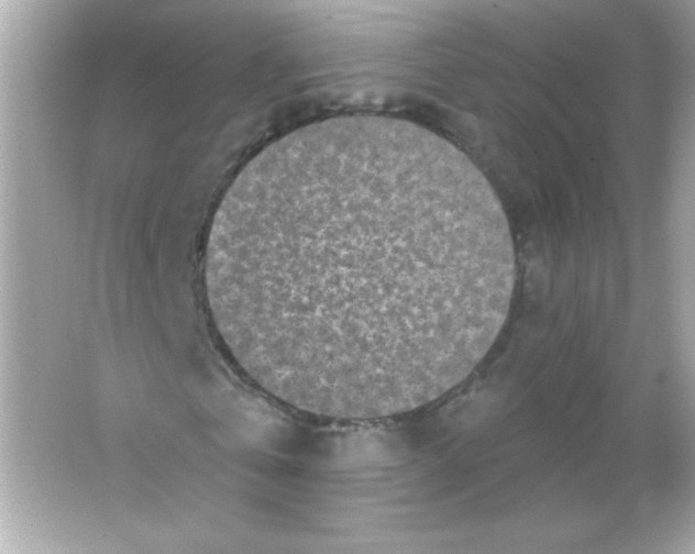 X0000065260769200603172229