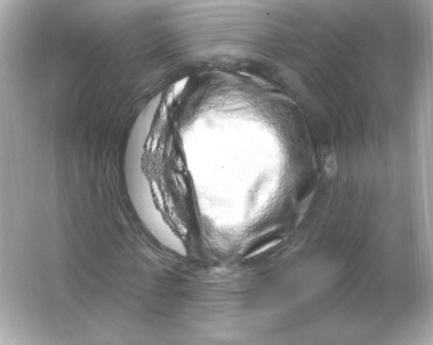 X0000065260771200603172229