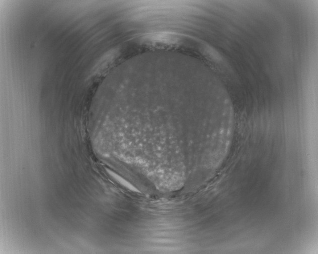 X0000065260774200603172229