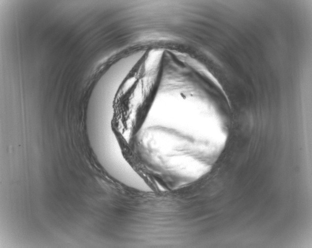 X0000065260775200603172229