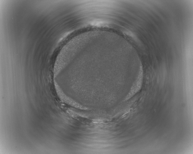 X0000065260776200603172229