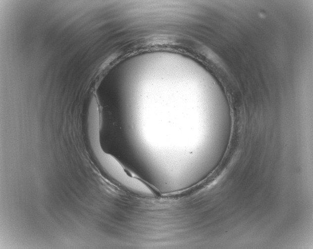 X0000065260777200603172229