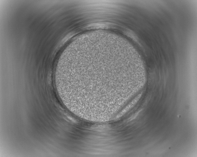 X0000065260778200603172229