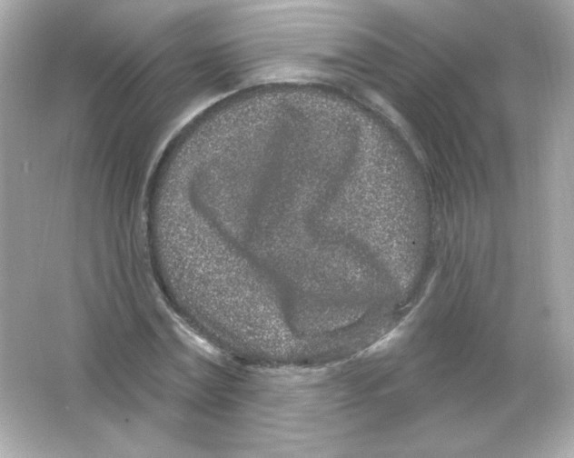 X0000065260779200603172229