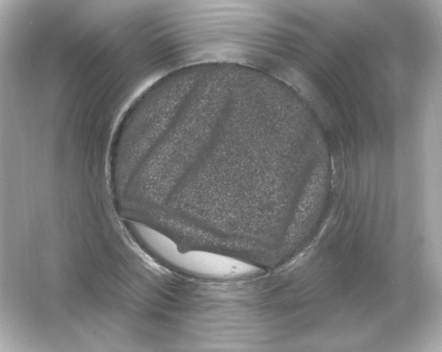 X0000065260780200603172229