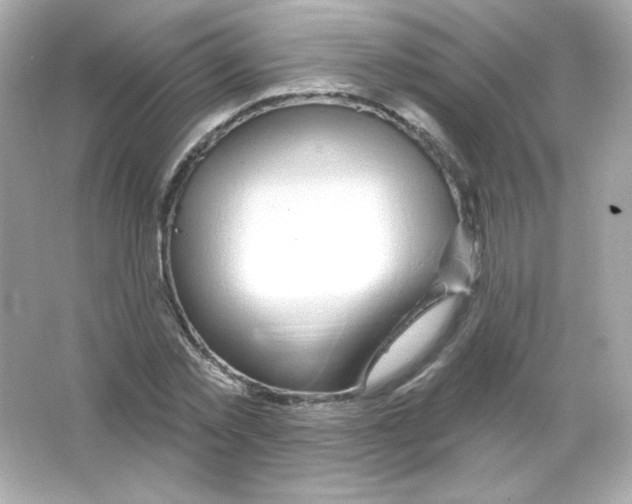 X0000065260781200603172229