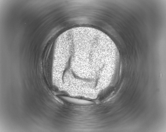 X0000065260782200603172229