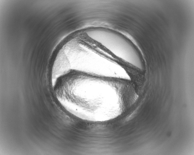 X0000065260783200603172229