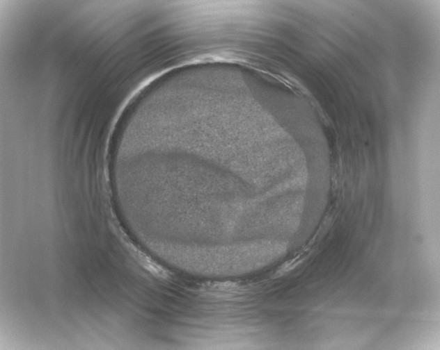 X0000065260784200603172229