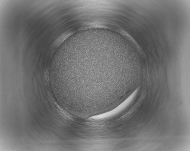 X0000065260785200603172229