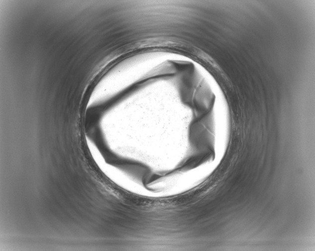 X0000065260786200603172229