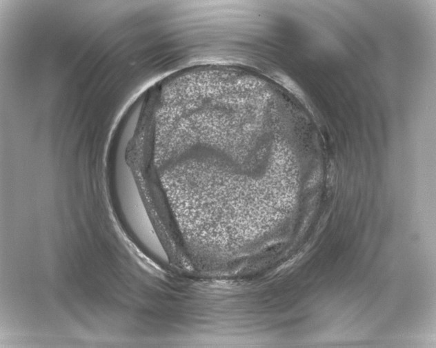 X0000065260787200603172229