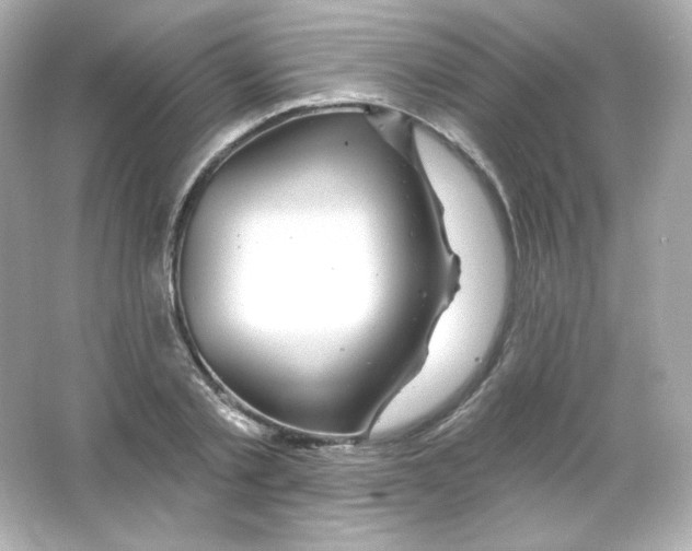 X0000065260789200603172229