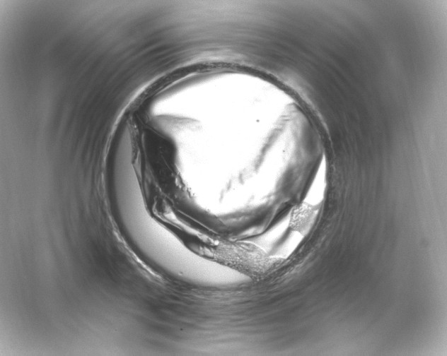 X0000065260791200603172229