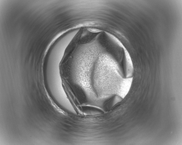 X0000065260792200603172229