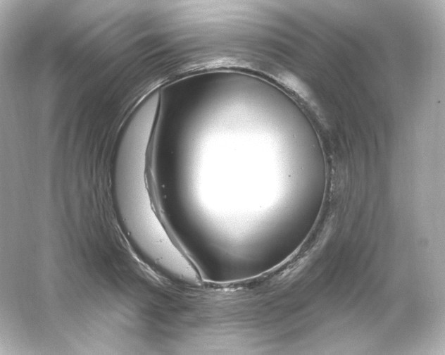 X0000065260793200603172229