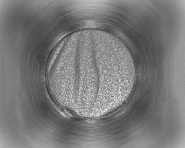 X0000065260794200603172229