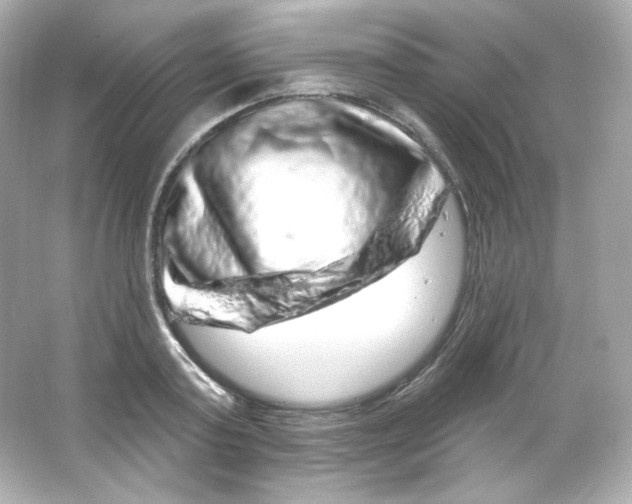 X0000065260795200603172229