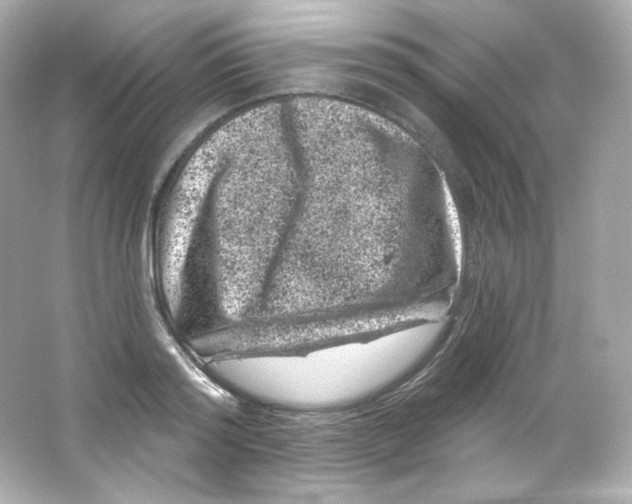 X0000065260796200603172229