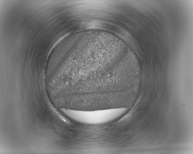 X0000065260798200603172229