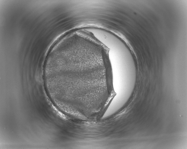 X0000065260799200603172229