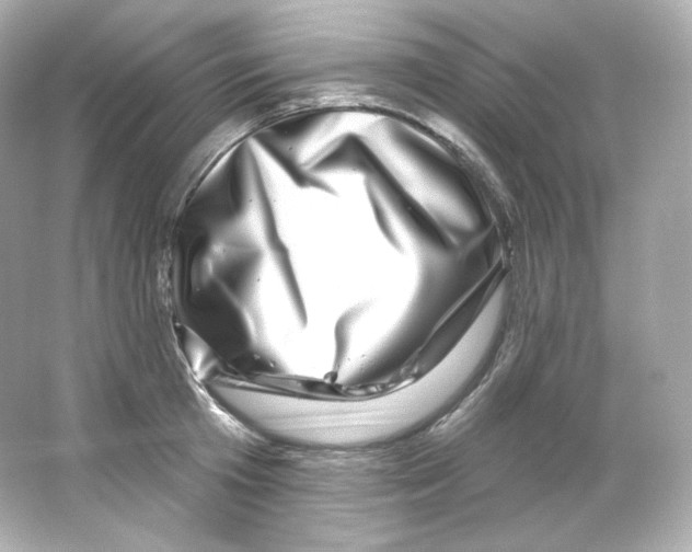 X0000065260801200603172229