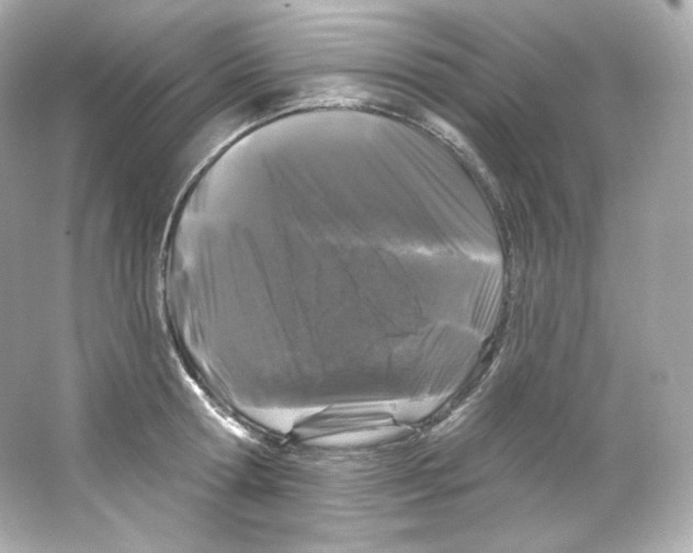 X0000065260802200603172229