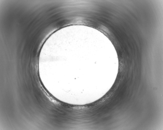 X0000065260804200603172229