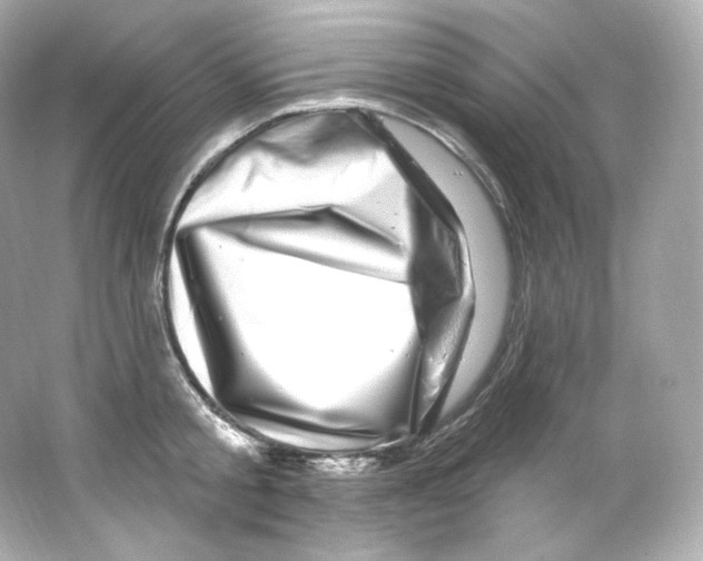 X0000065260805200603172229