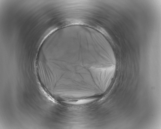 X0000065260806200603172229