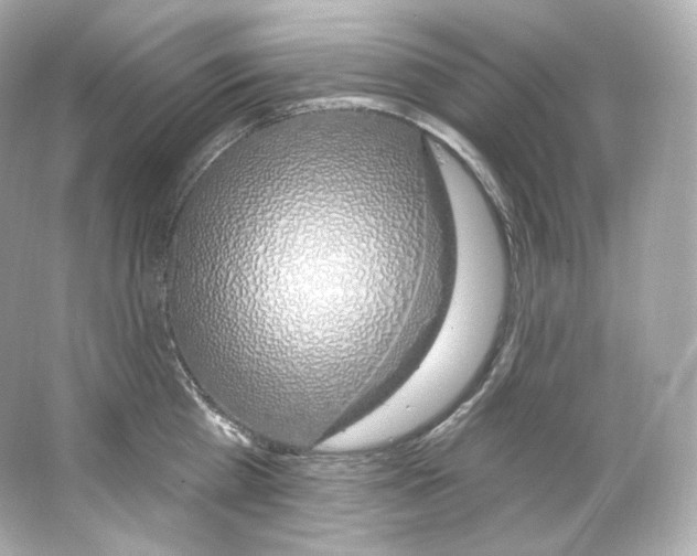 X0000065260809200603172229