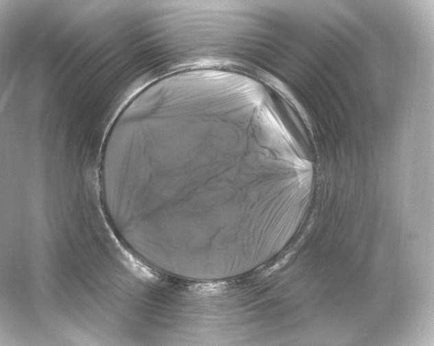 X0000065260810200603172229