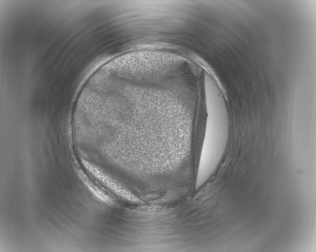 X0000065260811200603172229