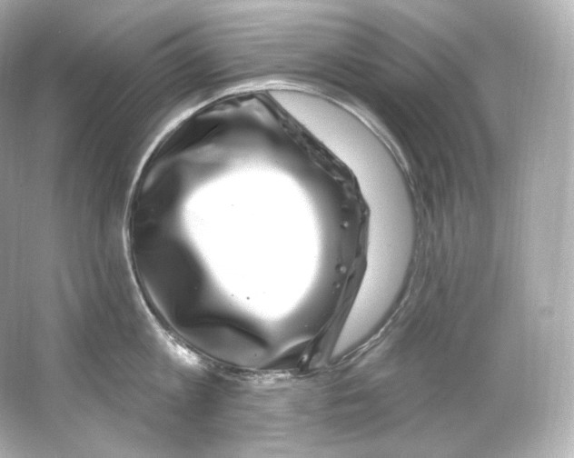 X0000065260813200603172229