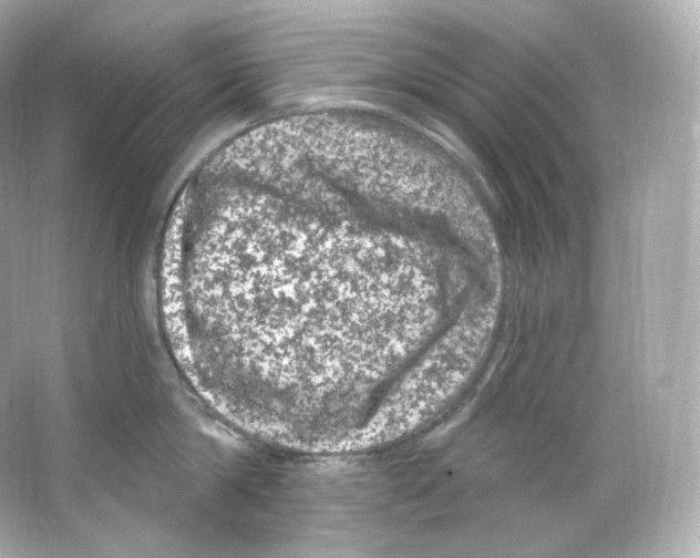 X0000065260814200603172229