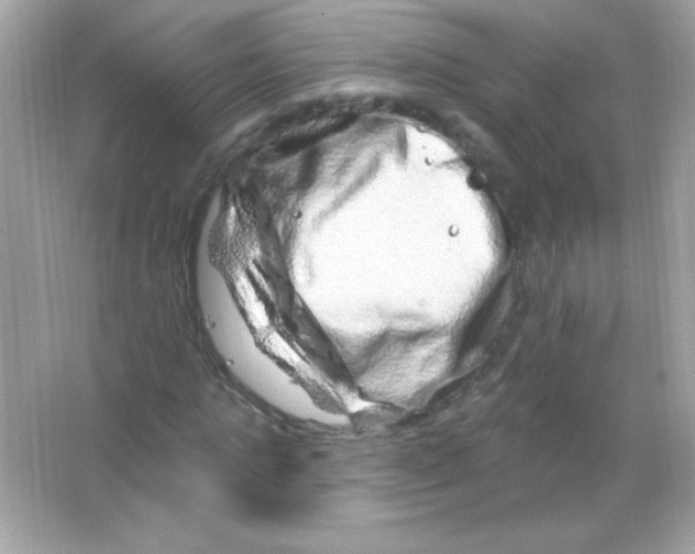 X0000065260821200603172228