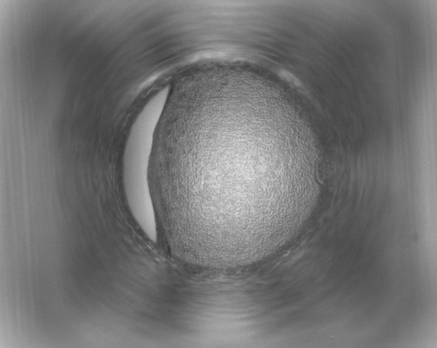 X0000065260822200603172228