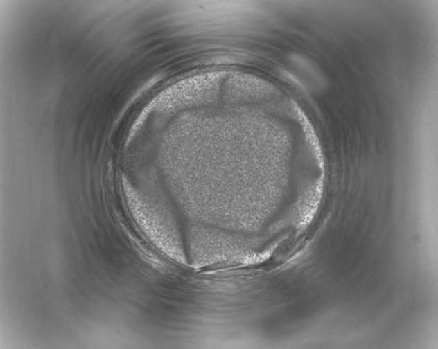 X0000065260827200603172228