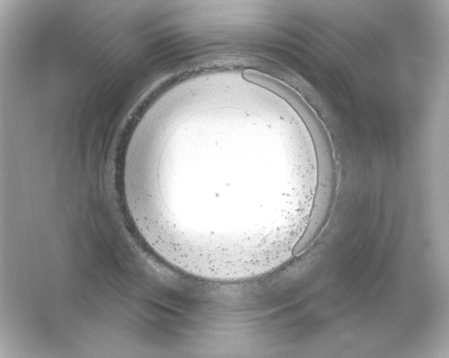 X0000065260828200603172228