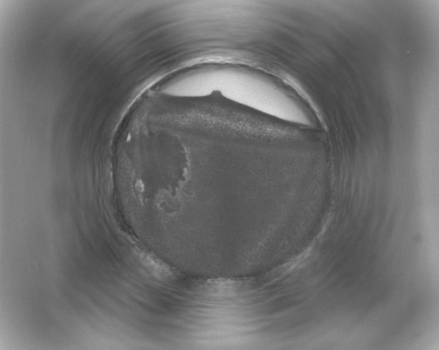 X0000065260829200603172228