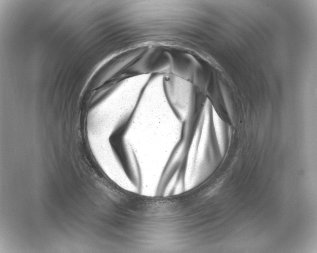 X0000065260830200603172228